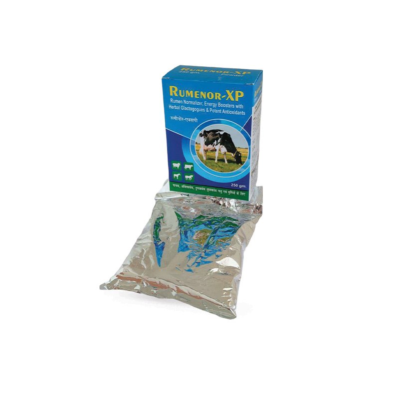 Rumenor-XP PWD Rumen Normalizer, Energy Booster